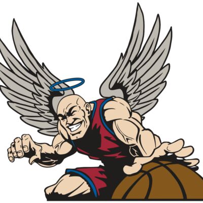 AR17 ANGEL BSKT 04 RQC Thumbnail