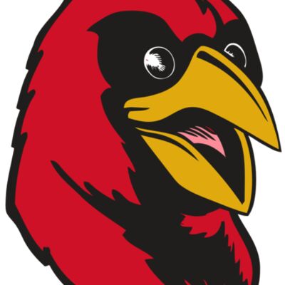 BAW CARDINAL 05 RC Thumbnail