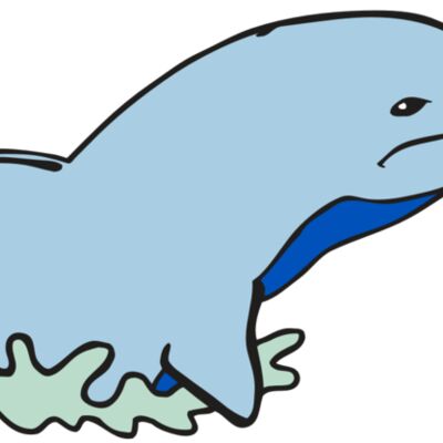 AR DOLPIN 14 RC Thumbnail