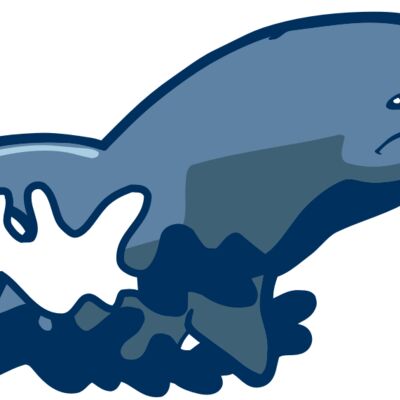 AR DOLPIN 10 RC Thumbnail