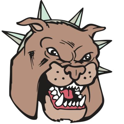 AR BDOG 40 RC Thumbnail