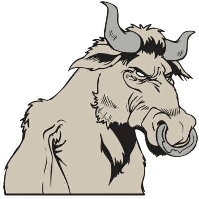 AR5 BULL 08 RQC Thumbnail